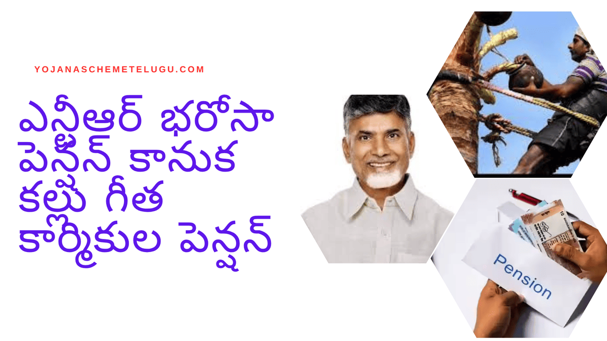 ఎన్టీఆర్ భరోసా పెన్షన్ పథకం కల్లు గీత  కార్మికుల పెన్షన్ స్టేటస్ (NTR Bharosa Pension Scheme for Toddy Tappers Pension Status )