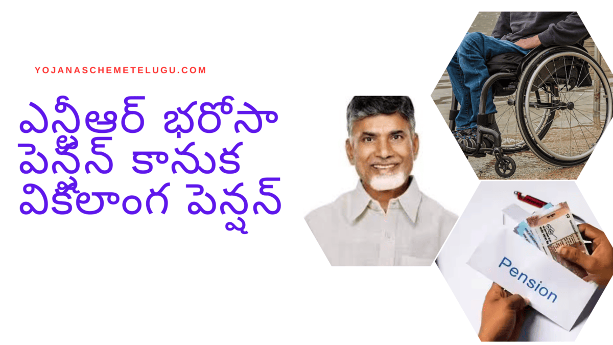 ఎన్టీఆర్ భరోసా పెన్షన్ పథకం వికలాంగ పెన్షన్  స్టేటస్ (NTR Bharosa Pension Scheme for Disabled Pension Status)