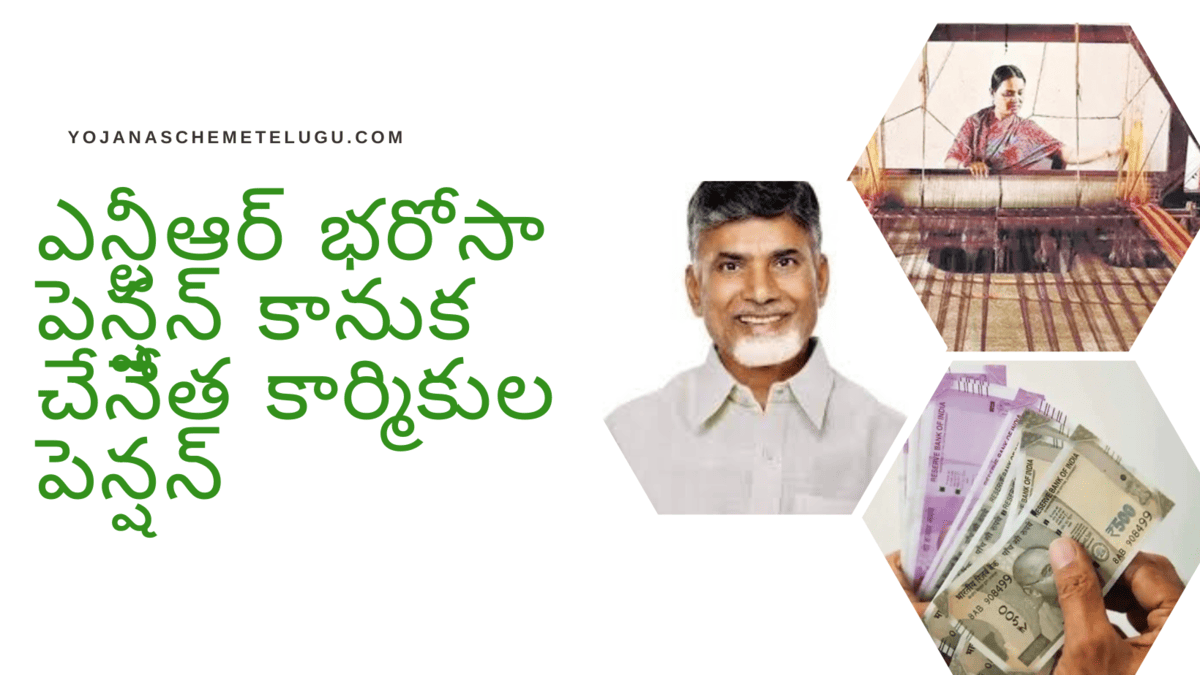NTR Bharosa Pension Scheme for Weavers Pension Status