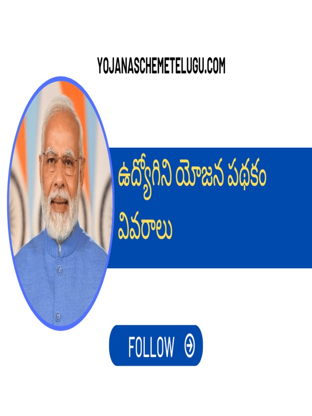 udyogini scheme details in telugu